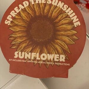 Sunflower Growing Kit - Spread the Sunshine